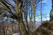 40 Faggi secolari e pareti rocciose sul versante nord del Monte Zucco
